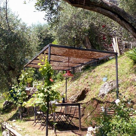 Il Giaggiolo Villa Camaiore Ngoại thất bức ảnh