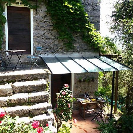 Il Giaggiolo Villa Camaiore Ngoại thất bức ảnh