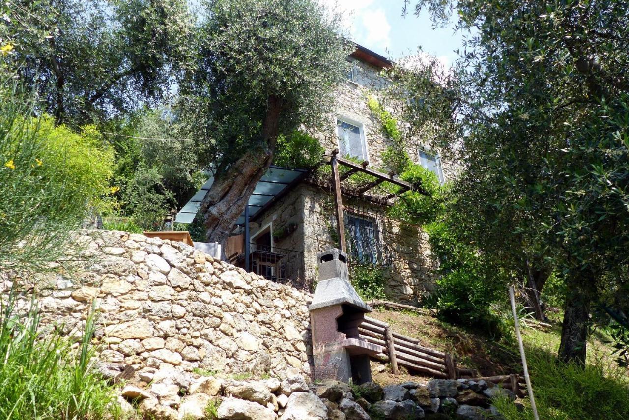Il Giaggiolo Villa Camaiore Ngoại thất bức ảnh
