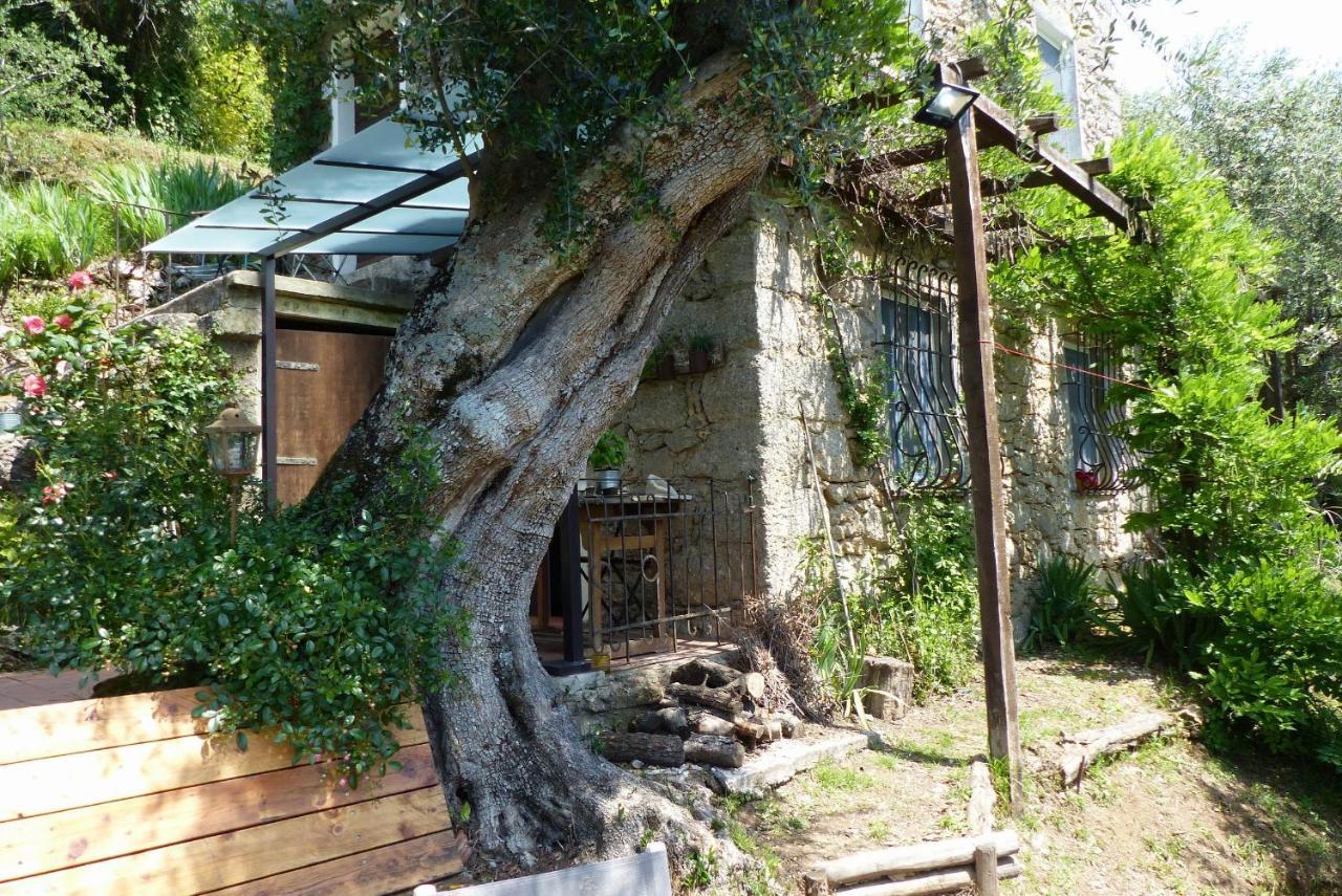 Il Giaggiolo Villa Camaiore Ngoại thất bức ảnh