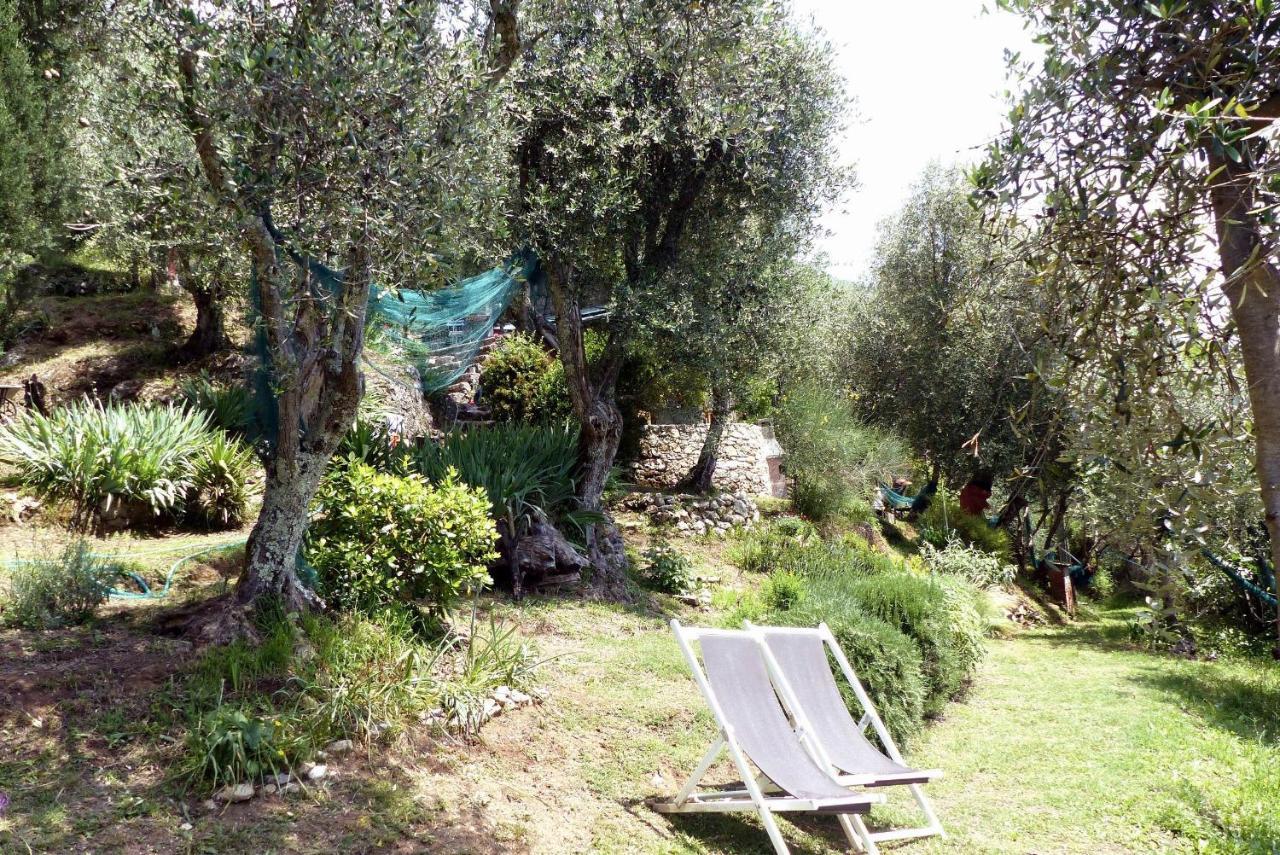 Il Giaggiolo Villa Camaiore Ngoại thất bức ảnh