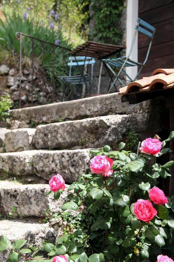 Il Giaggiolo Villa Camaiore Ngoại thất bức ảnh