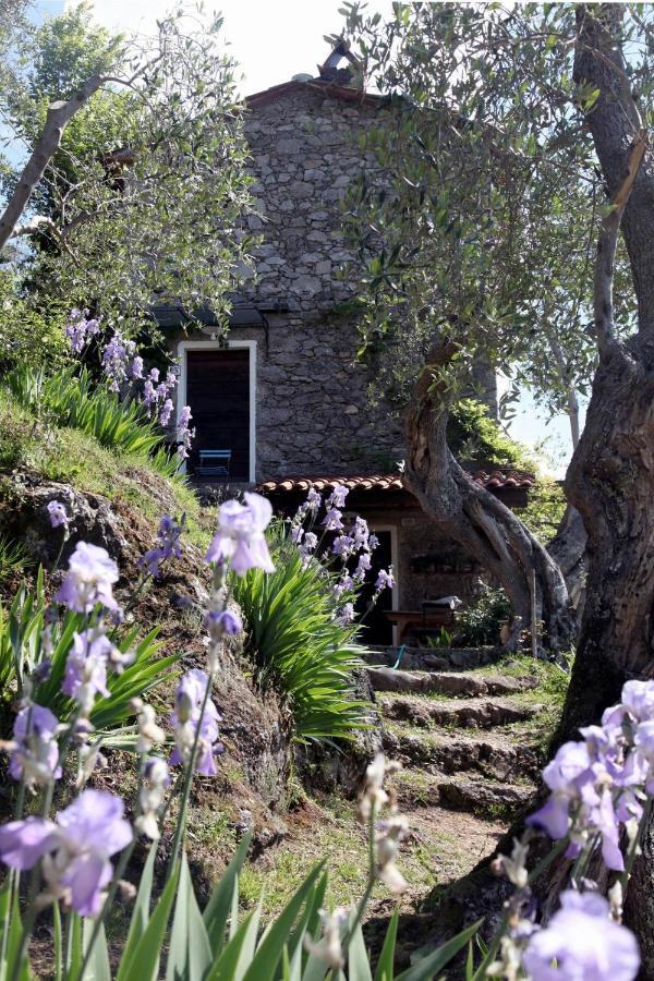 Il Giaggiolo Villa Camaiore Ngoại thất bức ảnh