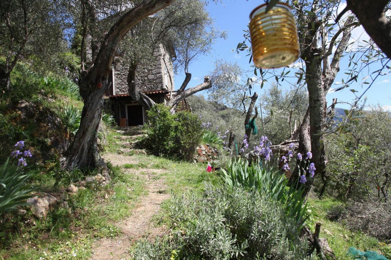 Il Giaggiolo Villa Camaiore Ngoại thất bức ảnh