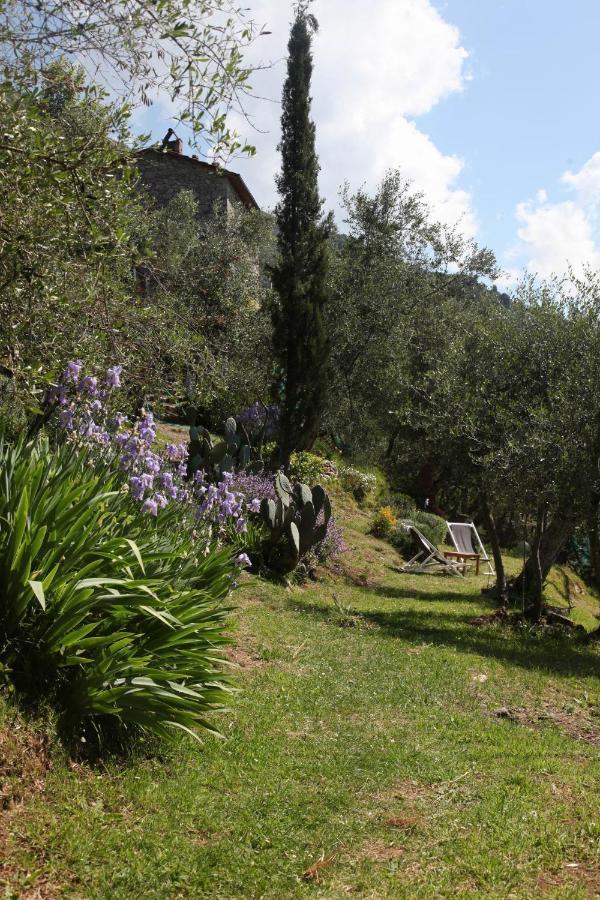 Il Giaggiolo Villa Camaiore Ngoại thất bức ảnh