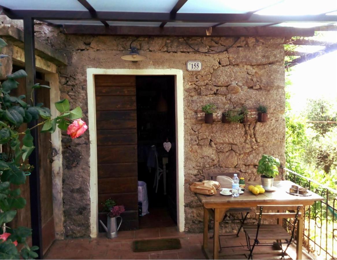 Il Giaggiolo Villa Camaiore Ngoại thất bức ảnh